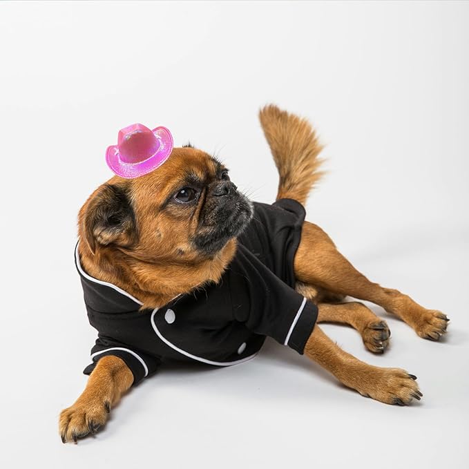 Dog Cowboy Hat Cat Cowboy Hat Pet Cowboy Costume Mini Cowboy Hat for Dogs Cat Holiday Halloween Pet Party Decoration (Pink-style2, Small)