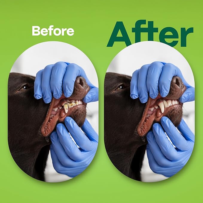 DOCO Dog Teeth Cleaning Wipes - Dog Tooth Brushing Kit, Remove Plaque & Tartar, Freshen Breath, Easy Pet Tooth Cleaning Kit for Oral Care, Ideal for Cat Owners - Coconut & Grapefruit Flavor, 50 ct.