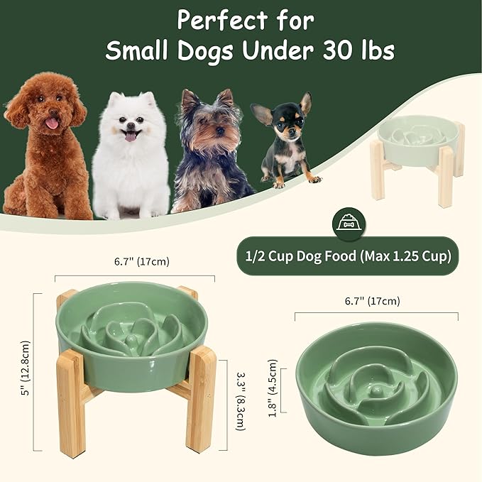 Elevated Slow Feeder Dog Bowl - Ceramic Maze Food Dish with Bamboo Stand - Raised Feeding Bowl for Fast Eaters - Ideal for Small and Medium Dogs - Green - 6.7 inch