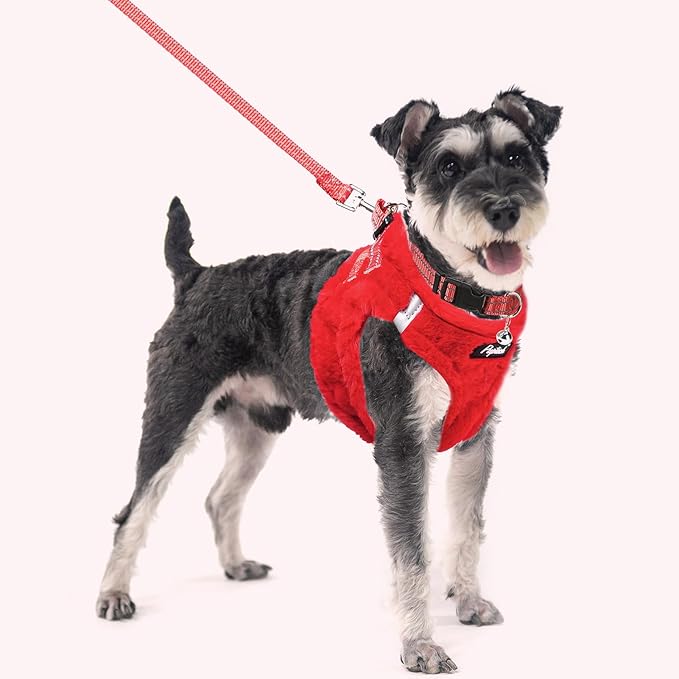 PUPTECK Adjustable Dog Harness Collar and Leash Set Step in No Pull Pet Harness for Small Medium Dogs Puppy and Cats Outdoor Walking Running, Soft Mesh Padded Reflective Vest Harnesses, Red S