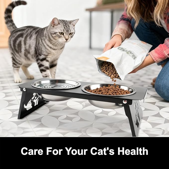 2 Set Elevated Cat Bowls, 4 Stainless Steel Bowls with Cute Raised Metal Stand for Food&Water, Zero Assembly, 12°Tilted Anti-Vomiting Cat Dishes for Indoor Cats/Multiple Kitten/Puppy