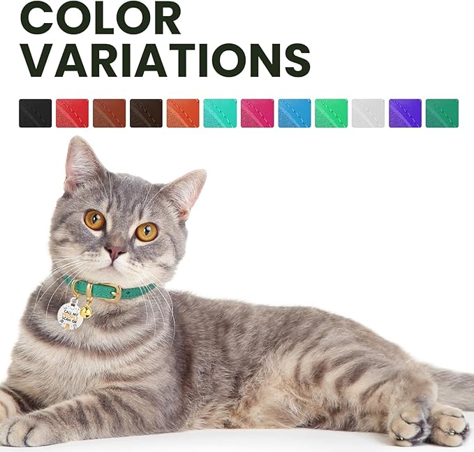 BRONZEDOG Leather Cat Collar with Removable Bells Non Breakaway Kitten QR Tag for Girl Boy (9" - 12" Cats/Mini Dogs, Turquoise & Silver)