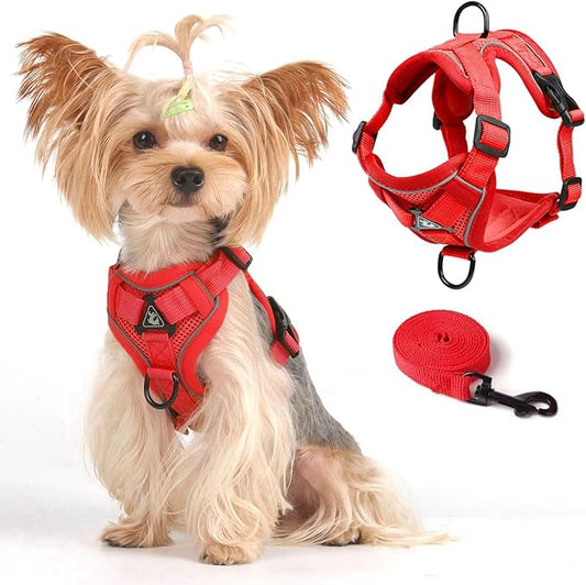 Vest Harness Leash Set for Small Dog Large Cat, Upgraded Escape Proof Adjustable Jacket with Lead for Puppy Fat Cat Outdoor Walking, Soft Breathable Mesh Coat with Reflective Strip, XL Red