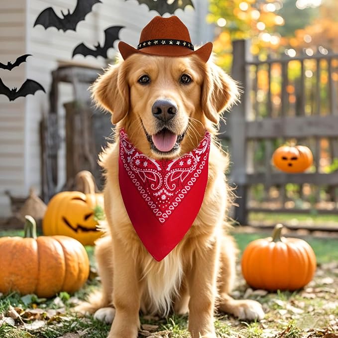 Pet Cowboy Costume Halloween Costumes for Small Pet Dogs Cat Cowboy Hat with Bandana Scarf Set Party Accessories(Brown, Small)