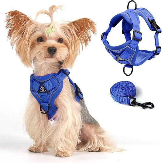 Vest Harness Leash Set for Small Dog Large Cat, Upgraded Escape Proof Adjustable Jacket with Lead for Puppy Fat Cat Outdoor Walking, Soft Breathable Mesh Coat with Reflective Strip XL Klein Blue
