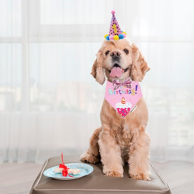 ADOGGYGO Dog Birthday Bandana Scarf and Puppy Girl Birthday Party Hat with Cute Bow Tie for Small Dog Cat (Small)
