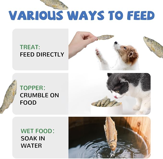 PAWUP Freeze Dried Minnows Dogs Treats – 100% Raw Single-Ingredient Pet Fish Snacks – Rich in Omega-3, Grain-Free – Healthy Training Rewards & Meal Toppers, 2.8 oz