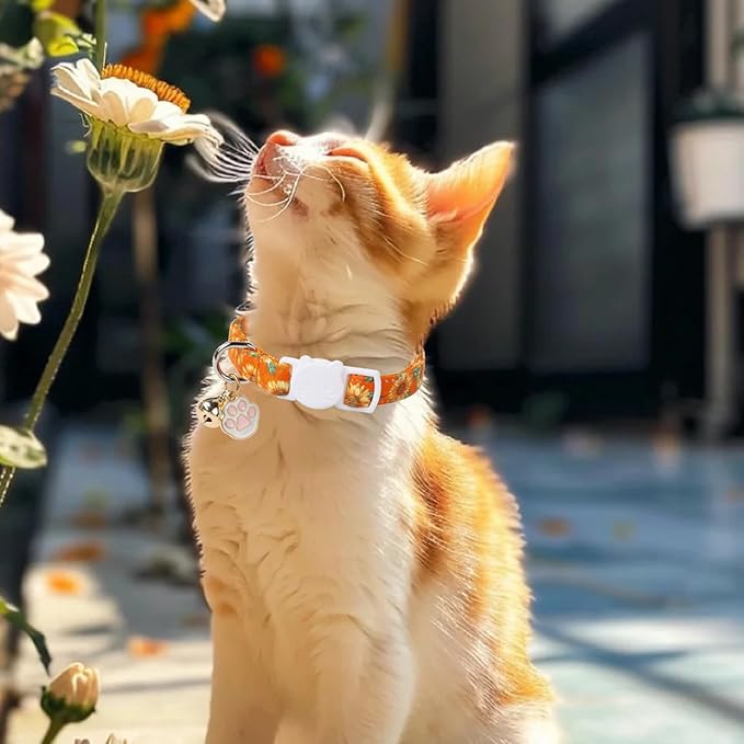 Unique Style Paws Fall Kitten Collar,2 Pack Orange Cat Collar with Sunflower Pattern,Breakaway Cat Collar with Bell,Cute Paw Pendant,Ideal Gift for Boy Girl Cats,Pet Supplies Accessories
