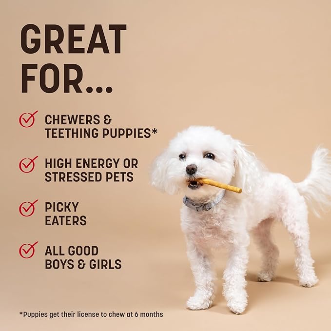 Earth Animal No Hide Stix - Long Lasting Rawhide Free Small Dog Chews Sticks, Holiday Feast - 20 Count Value Pack