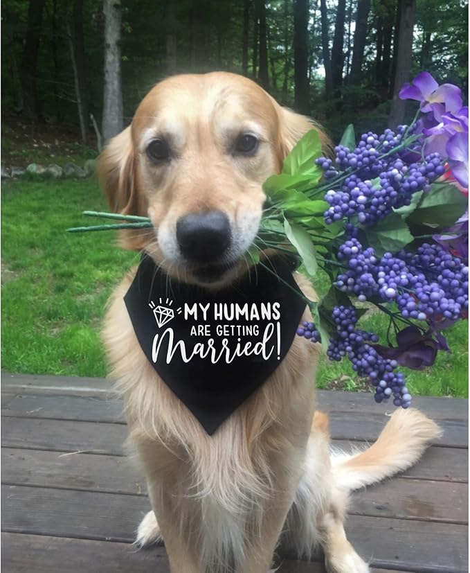 My Humans are Getting Married Dog Wedding Bandana Collar, Adjustable Engagement Pet Bandana with Quick Release Buckle & D-Ring for Dogs & Cats