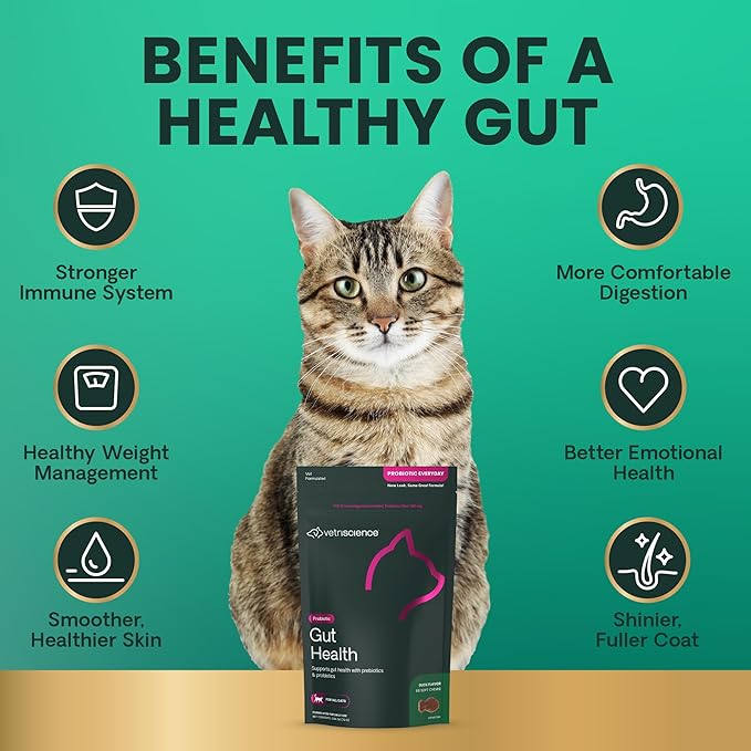 VetriScience Gut Health Chews, Probiotic Everyday Digestive Supplement for Cats, Pet Probiotics for Digestion Support, Gas and Diarrhea, Immune Support, 120 Million CFU Per Chew, Duck, 60 Count