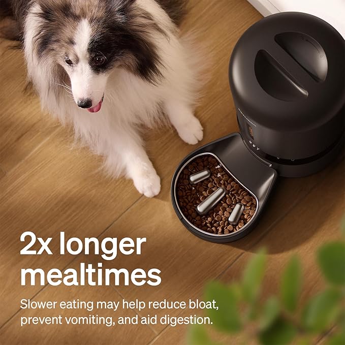 PETLIBRO Automatic Dog Feeder with Camera, Auto Cat Food Dispenser Slow Feeder Dog Bowl 1080P HD Video with Night Vision 5G WiFi Pet Feeder with 2-Way Audio, Stainless Steel Slow Food Tray