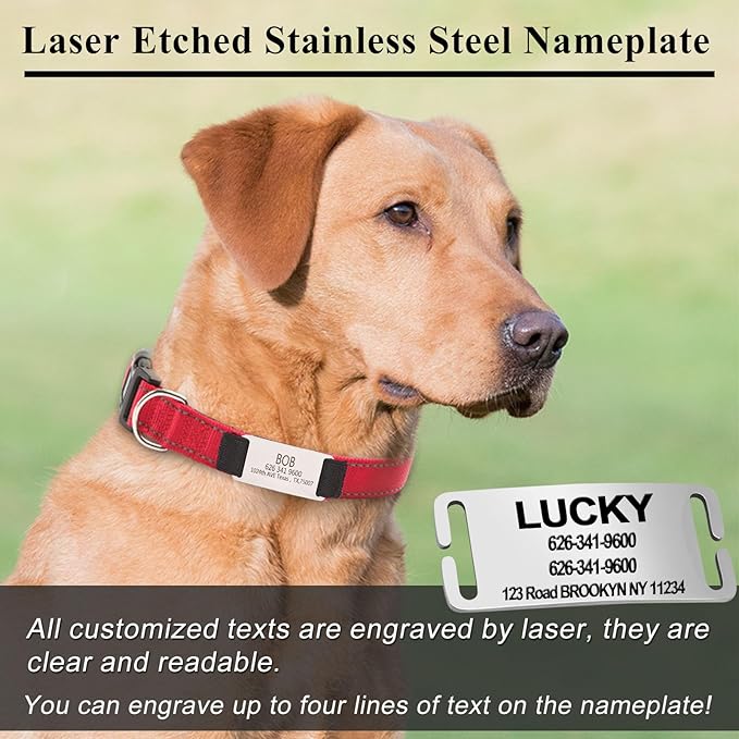 Custom Dog Collars with Name Plate, Engraved Name Plate ID Tags with Reflective Nylon Dog Collar,Soft Neoprene Padded Adjustable Pet Collar for Small Medium Large Dogs,L Green