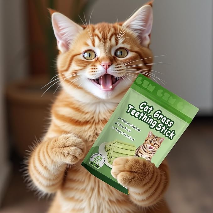 6Pack Cat Toys Cats Grass Treat Catnip Toy with Silvervine for Indoor Kitten Toys Wood Kitty Chew Rope Grass Sticks for Teeth Cleaning Kitten Snack for Catnip Dental Care Self Play