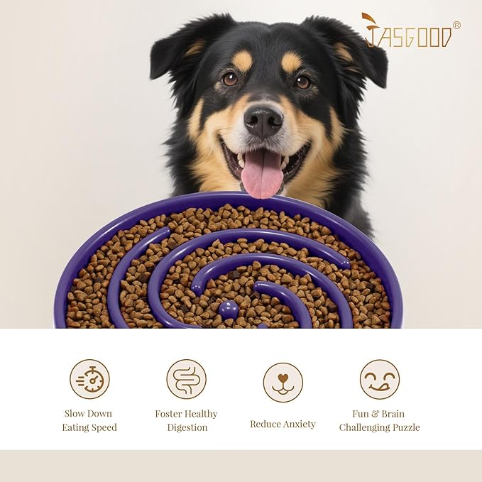 JASGOOD Slow Feeder Bowl for Large Dogs, Anti-Gulping Pet Bowl, Prevents Bloat & Choking