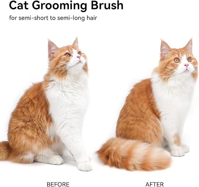 aumuca Cat Brush for Shedding, Cat Brushes for Indoor Cats, Cat Brush for Long or Short Haired Cats, Cat Hair Brush Cat Grooming Deshedding Brush for Dog Kitten Rabbit Massage Removes Loose Fur, White