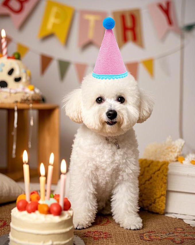 PET SHOW 10 Pack Small Dog Birthday Party Hats for Medium Dogs Stuffed Animals Dolls Adjustable Holiday Hats Felt Pom Pom Headband Pet Grooming Costume Accessories