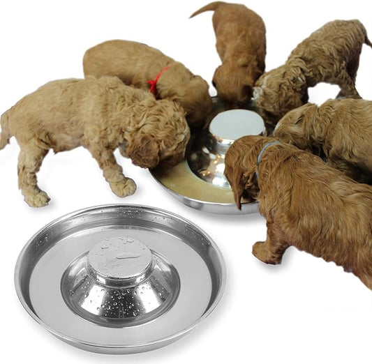 Stainless Steel Puppy Dog Bowls 2 Pack, Pets Puppies Feeding Food and Water Weaning Bowls Dishes Feeder, 10.3 Inch