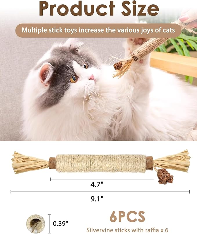 Tocirelo Silvervine Sticks Cat Toys - 6Pack Natural Cat Chew Toy Teeth Cleaning, Matatabi Dental Care Kitten Treat, Catnip Cat Teething Toys, Catmint Silver Vine Sticks for Bored Indoor Kitty