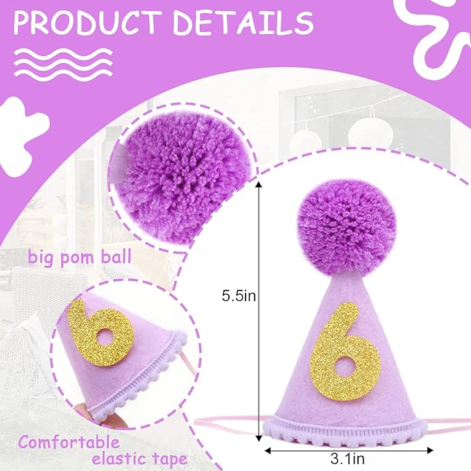 Pet Birthday Hat with Interchangeable Numbers 1-10 | Adjustable Pet Party Cone Hat for Dogs & Cats | Puppy Birthday Photo Props for 1st to 10th Birthday Celebrations (Purple Birthday Pet Hat)
