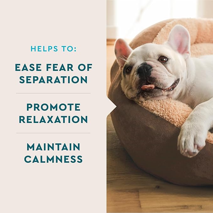 VetIQ Advanced Calming Support Supplement for Dogs, Dog Calming Chews - Anxiety Relief Treats Stress and Promote Relaxation, Made in The USA, 60 Count