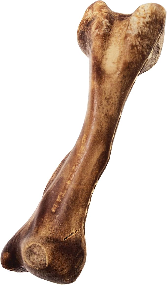 Nylabone Healthy Edibles WILD Natural Longer-Lasting Chew Treats, Venison Flavor, Large Dogs Up to 50 lbs - Made in USA (1 Count)