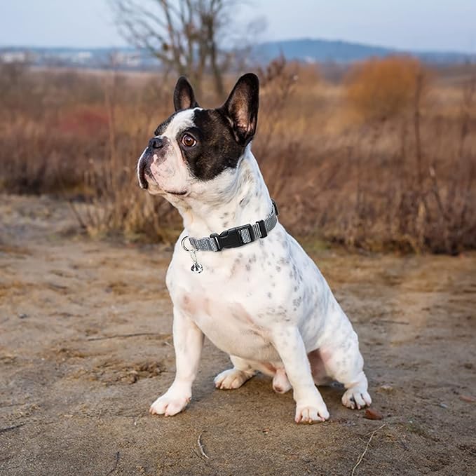 PUPTECK Adjustable Dog Harness Collar and Leash Set Step in No Pull Pet Harness for Small Medium Dogs Puppy and Cats Outdoor Walking Running, Soft Mesh Padded Reflective Vest Harnesses, Solid Grey XS