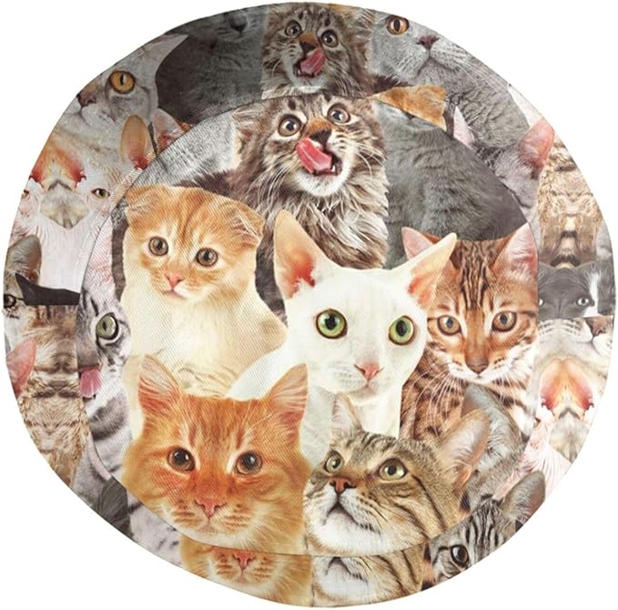 Cute Funny Cat Bucket Hats Fashion Sun Cap Packable Outdoor Animal Cat Fisherman Hat for Women and Men