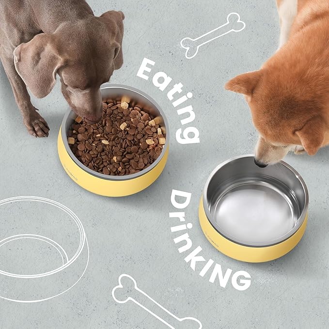 Pawaii Insulated Stainless Steel Dog Bowl with Non-Slip Base & Double Wall Design, ID Tag Included - 68oz Durable Dishwasher Safe Bowl for All Dogs