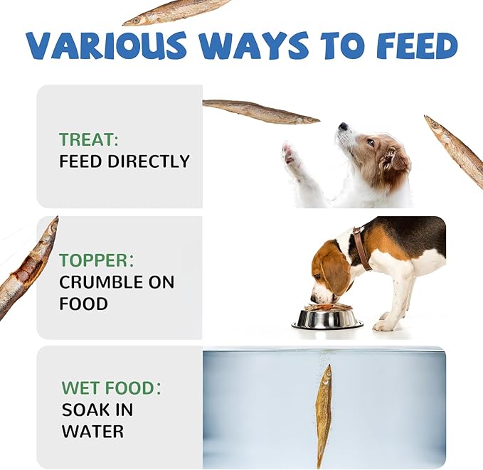 PAWUP Freeze Dried Capelin Dogs Treats – Raw Single Ingredient Dog Fish Snacks, Rich in Omega-3 for Skin & Coat Health, Grain Free, 3.5oz