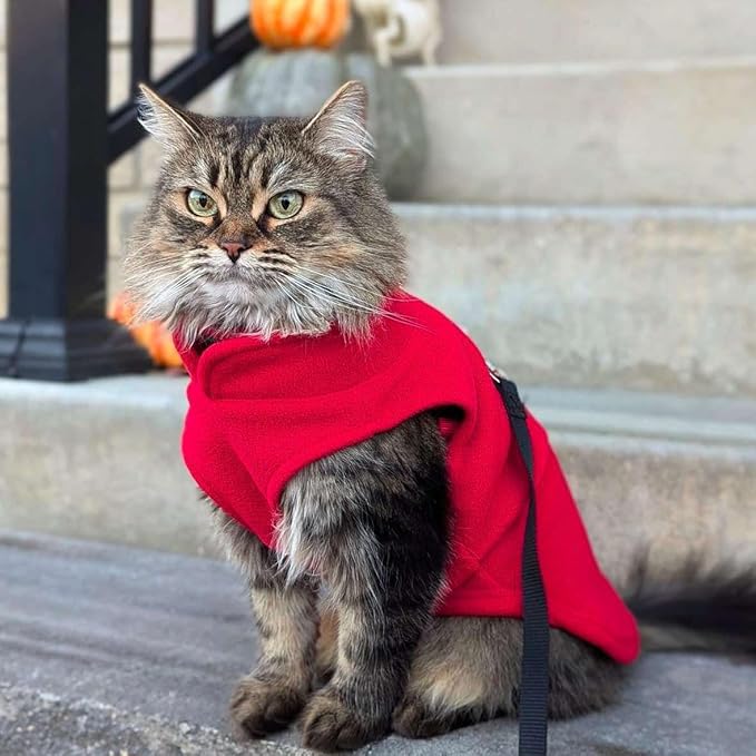 JACKO & CO - Fleece Vest Dog Sweater with Leash Ring - Soft, Warm & Lightweight Pullover Coat for Small & Medium Dogs, Puppies & Cats - Cozy Fall/Winter/Spring Pet Jacket (Red, X-Small 2-4lbs)