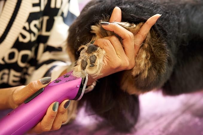 Wahl Professional Animal Arco Pet, Dog, Cat, and Horse Cordless Clipper Kit, Purple (8786-1001)