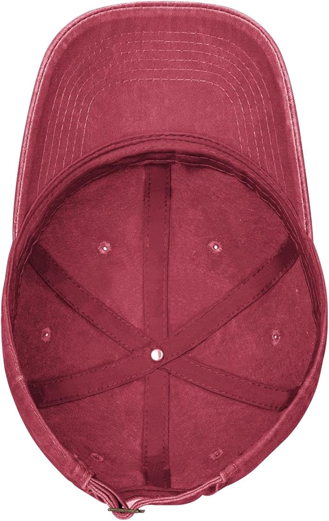 Black Cat Hat,Ragdoll Cat Embroidered Adjustable Cotton Baseball Cap for Men Women,Gifts for Cat Lovers