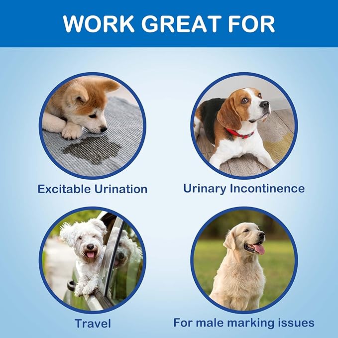 Disposable Belly Bands for Male Dogs, Puppy Diapers Male with Wetness Indicator, Super Absorbent Soft Male Dog Diapers, M, 40 Count