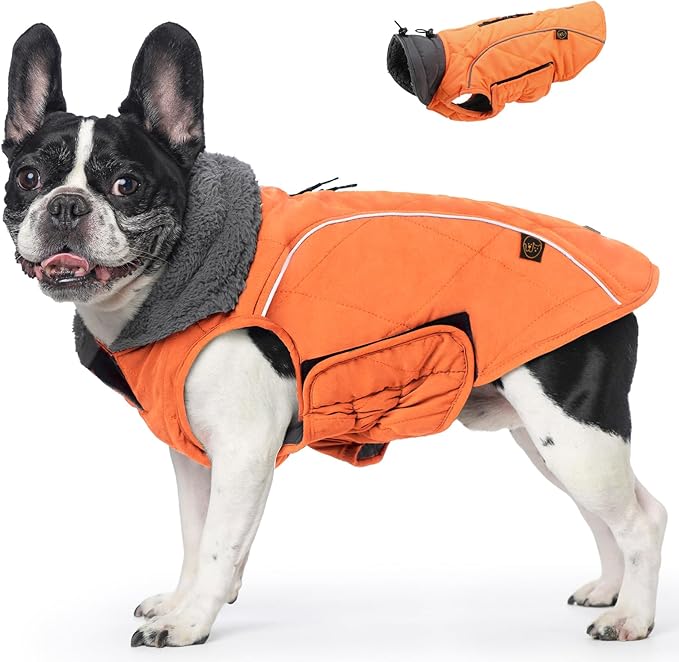 EMUST Winter Dog Coat for Medium Boys - Thick Clothes with Harness Hole for Cold Weather, Orange, M