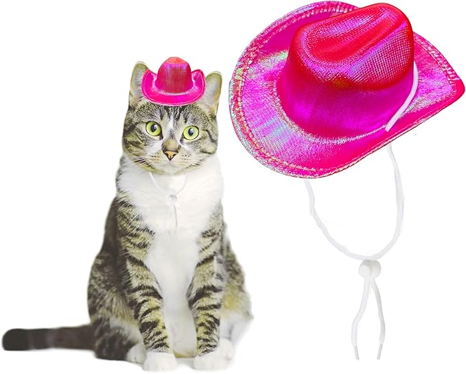 Dog Cowboy Hat Cat Cowboy Hat Pet Cowboy Costume Mini Cowboy Hat for Dogs Cat Holiday Halloween Pet Party Decoration (Rose red-style2, Small)