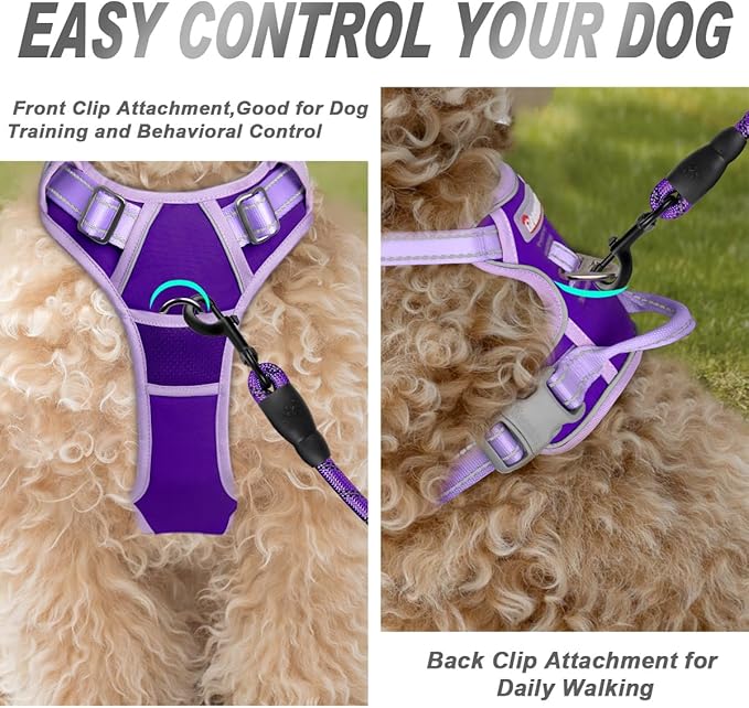 BARKBAY No Pull Dog Harness Front Clip Heavy Duty Reflective Easy Control Handle for Large Dog Walking(Violet Purple & Purple,S)
