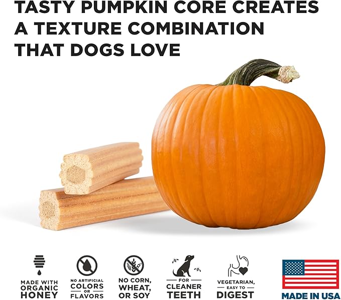 Hive Pumpkin Dental Treats for Dogs — Healthy, Vegetarian, Natural Pumpkin and Honey Flavor, Vegetarian Chews, Made in The USA (Chew Sticks, Large Breeds)-Clean Teeth and Freshens Breath