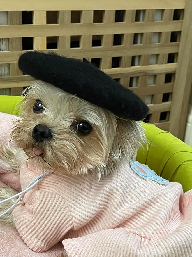 Dog Beret Hats Cats Hats Fashion Four Seasons Funny Comfortable Wool Pet Hat (Black)