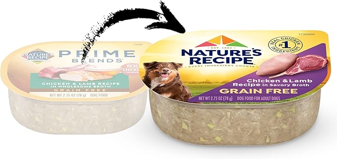 Nature's Recipe Grain Free Chicken & Lamb Recipe in Savory Broth Wet Dog Food, 2.75 oz. Cup, 12 Count