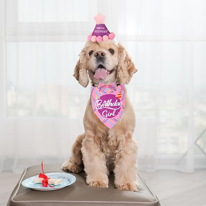 ADOGGYGO Dog Birthday Party Supplies, Pink Birthday Girl Pet Bandana Hat Bowtie Set for Small Dogs (Small)