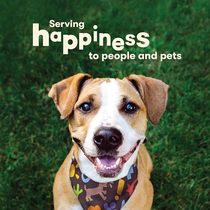 Pet 'n Shape Hide Twists – Duck Wrapped Rawhide Dog Treats - Small Twist - 2 Pounds