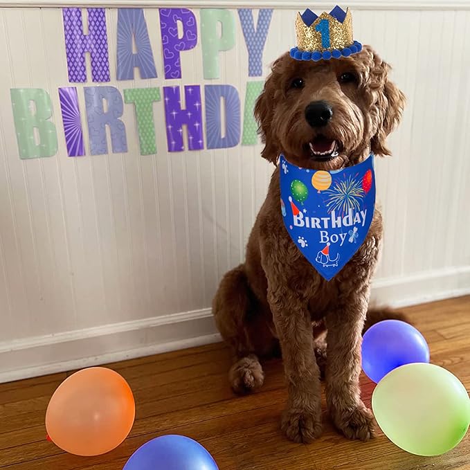 ADOGGYGO Dog Bandana Hat Set for Birthday Party Supply, Boy Girl Puppy Birthday Scarf for Small Dog (Small, Blue)