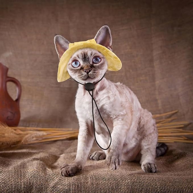 QBLEEV Cat Hats for Cats Only, Sphynx Hat with Ear Hole, Hairless Cat Cowboy Hats for Birthday Party Halloween, Kitten Headwear Sun Sombrero Caps, Chihuahua Sunscreen Baseball Outdoor Climbing Cap