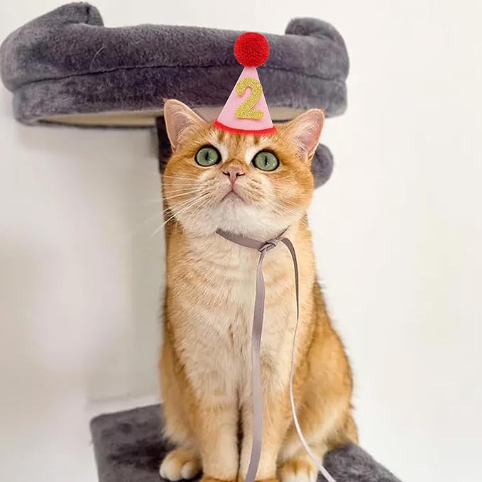 Pet Birthday Hat with Interchangeable Numbers 1-10 | Adjustable Pet Party Cone Hat for Dogs & Cats | Puppy Birthday Photo Props for 1st to 10th Birthday Celebrations (Red Pink Birtgday Pet Hat)