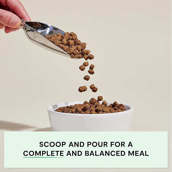 Open Farm, Grain-Free Dry Dog Food for Senior Dogs, Complete & Balanced Kibble to Support Joints & Mobility, Sustainably & Ethically Sourced Ingredients, Chicken & Turkey Recipe for Seniors, 22lb Bag