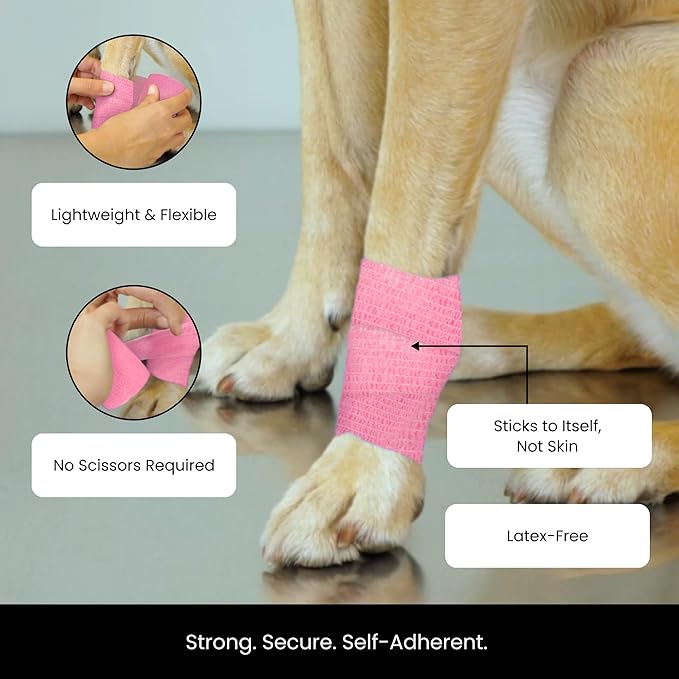 Juvale Self-Adherent Cohesive Bandage Wrap - Joint Support & Vet Wrap for Horses - Versatile First Aid & Pet Bandage - Athletic Compression & Stretch Tape - 3 in x 6 yd, Pack of 12, 6 Colors