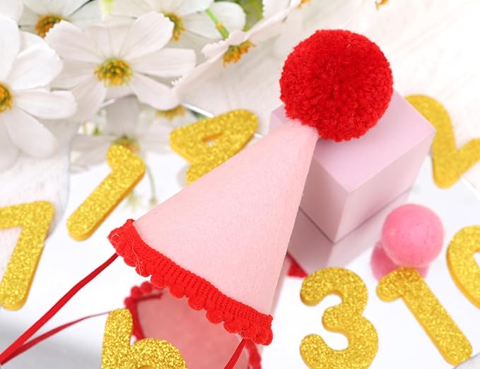 Pet Birthday Hat with Interchangeable Numbers 1-10 | Adjustable Pet Party Cone Hat for Dogs & Cats | Puppy Birthday Photo Props for 1st to 10th Birthday Celebrations (Red Pink Birtgday Pet Hat)