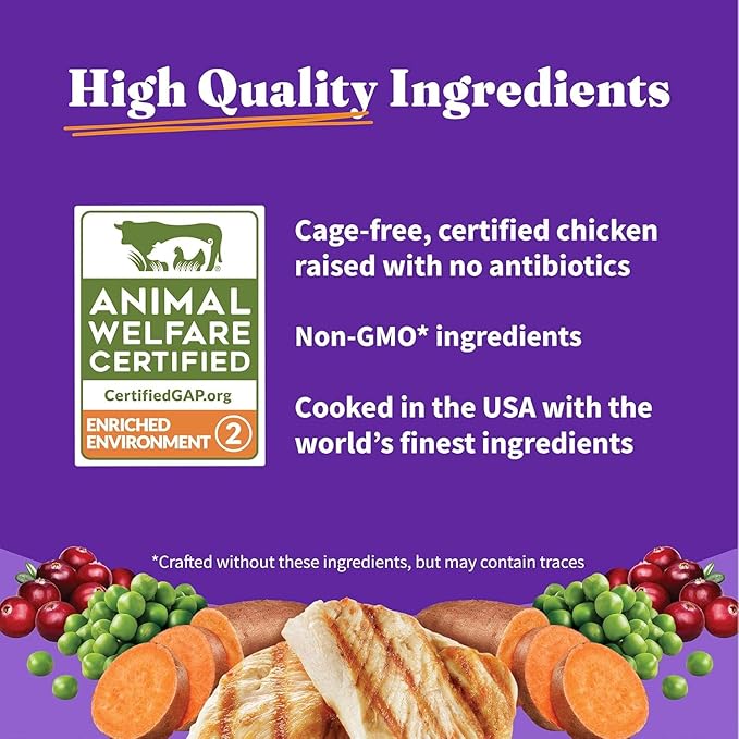 Halo Holistic Cage Free Chicken Cat Food, Healthy Grains Dry Cat Food, Complete Digestive Health, Kibble for Adult Cats, 10 lb Bag
