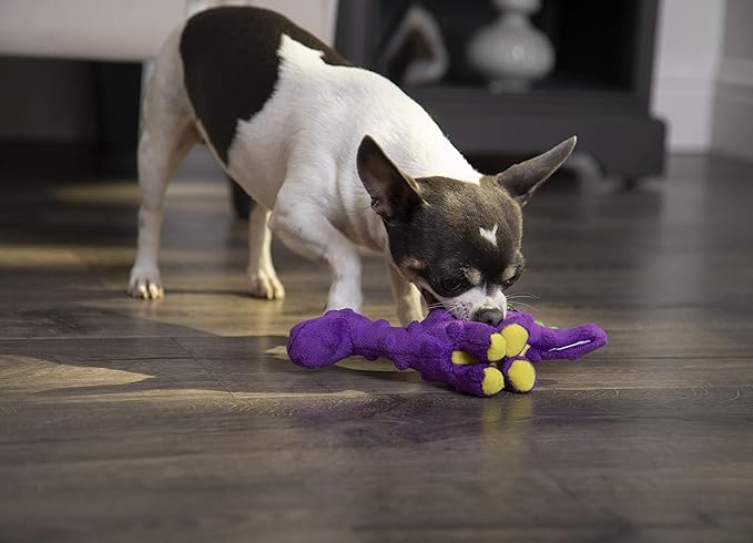 goDog Just For Me Dinos Bruto Squeaky Plush Dog Toy, Chew Guard Technology - Purple, Mini